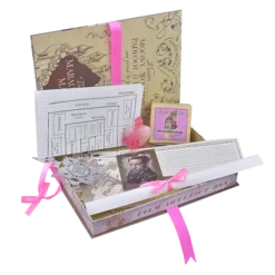 Warner Bros Hermione Granger Artefact Box