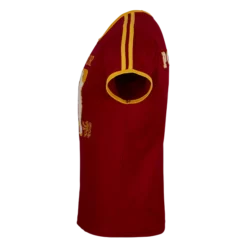 Warner Bros Best Sellers Personalised Gryffindor House Seeker T-Shirt