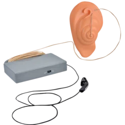 Warner Bros Extendable Ear Best Sellers