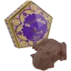 Warner Bros Best Sellers Chocolate Frog - With Authentic Film Packaging