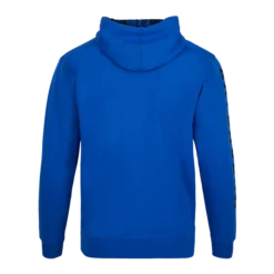 Warner Bros Ravenclaw Hooded Sweatshirt