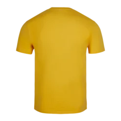 Warner Bros Best Sellers Hufflepuff Quidditch Team Captain T-Shirt