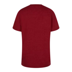 Warner Bros Best Sellers Kids Gryffindor Quidditch Team Captain T-Shirt
