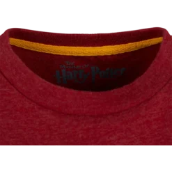 Warner Bros Best Sellers Kids Gryffindor Quidditch Team Captain T-Shirt