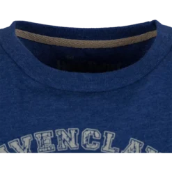 Warner Bros Best Sellers Kids Ravenclaw Quidditch Team Captain T-Shirt