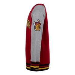 Warner Bros Kids Gryffindor Sweatshirt Best Sellers