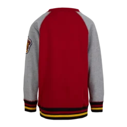 Warner Bros Kids Gryffindor Sweatshirt Best Sellers 9 Warner Bros Kids Gryffindor Sweatshirt Best Sellers