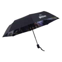 Warner Bros Philosopher's Stone Umbrella