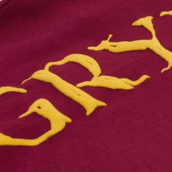 Warner Bros Gryffindor Adult Spirit Jersey Best Sellers