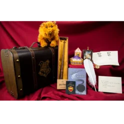 Warner Bros Hermione Granger Gift Trunk