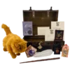 Warner Bros Hermione Granger Gift Trunk
