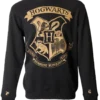 Warner Bros Hogwarts Striped Sleeve Sweatshirt 2 Warner Bros Hogwarts Striped Sleeve Sweatshirt