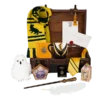Warner Bros Hufflepuff Gift Trunk