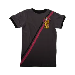 Warner Bros Best Sellers Youth Gryffindor Diagonal Striped T-Shirt