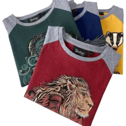 Warner Bros Gryffindor Kids T-Shirt
