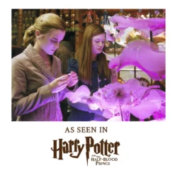 Warner Bros Collectables Love Potion Pendant With Display