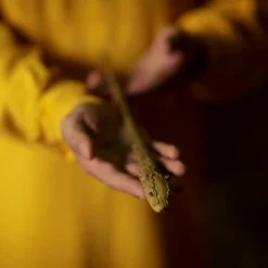 Warner Bros The Hufflepuff Mascot Wand Best Sellers