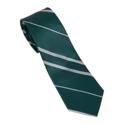 Warner Bros Slytherin House Tie