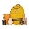 Warner Bros Hufflepuff Essentials Backpack Set