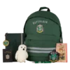 Warner Bros Best Sellers Slytherin Essentials Backpack Set