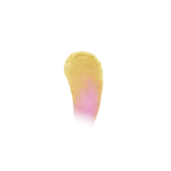 Warner Bros Luna Lovegood 'Sunflower' Colour Changing Lipstick