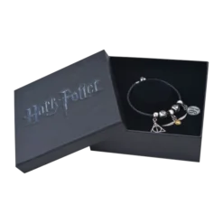 Warner Bros Harry Potter Charm Bracelet Set